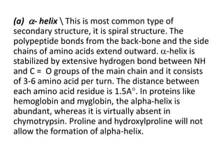 (a) - helix  This is most common type of
secondary structure, it is spiral structure. The
polypeptide bonds from the back-bone and the side
chains of amino acids extend outward. -helix is
stabilized by extensive hydrogen bond between NH
and C = O groups of the main chain and it consists
of 3-6 amino acid per turn. The distance between
each amino acid residue is 1.5A. In proteins like
hemoglobin and myglobin, the alpha-helix is
abundant, whereas it is virtually absent in
chymotrypsin. Proline and hydroxylproline will not
allow the formation of alpha-helix.
 