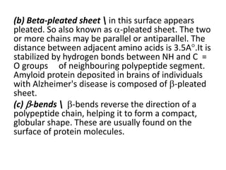 (b) Beta-pleated sheet  in this surface appears
pleated. So also known as -pleated sheet. The two
or more chains may be parallel or antiparallel. The
distance between adjacent amino acids is 3.5A.It is
stabilized by hydrogen bonds between NH and C =
O groups of neighbouring polypeptide segment.
Amyloid protein deposited in brains of individuals
with Alzheimer's disease is composed of -pleated
sheet.
(c) -bends  -bends reverse the direction of a
polypeptide chain, helping it to form a compact,
globular shape. These are usually found on the
surface of protein molecules.
 