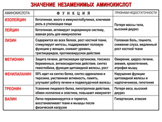 ЗНАЧЕНИЕ  НЕЗАМЕНИМЫХ  АМИНОКИСЛОТ Гипертензия, атаксия Легко переаминируется и теряется, восстанавливает ткани и мышцы после физической нагрузки ВАЛИН Потеря веса, высокий диурез Усвоение пищевого белка, липотропное действие, обмен коллагена и эластина, повышает иммунитет ТРЕОНИН Нарушение функции щитовидной железы и надпочечников, гипотония 50% идет на синтез белка, синтез адреналина и тирозина, умственная активность, память, улучшает работу печени и поджелудочной железы ФЕНИЛАЛАНИН Ожирение, цирроз печени, анемия, кровотечения, атрофия мышц Защита печени, детоксикация организма, токсикоз беременных, антиоксидантное действие, синтез гемоглобина, функция щитовидной железы, рост МЕТИОНИН Головная боль, тошнота, снижение слуха, медленный рост костной ткани Содержится во всех белках, рост костной ткани, стимулирует митозы, поддерживает половую функцию у женщин, снижает уровень триглицеридов, противовирусное действие ЛИЗИН Кетогенная, активирует эндокринную систему, важная роль для иммунологии ЛЕЙЦИН Потеря массы тела, высокий диурез Кетогенная, много в иммуноглобулинах, ключевая роль в утилизации пищи ИЗОЛЕЙЦИН ПРИЗНАКИ НЕДОСТАТОЧНОСТИ Ф  У  Н  К  Ц  И  Я АМИНОКИСЛОТА 