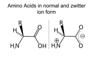 Ama Ino Amino acids | PPTX