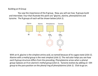 The R Group Amino acids | PDF