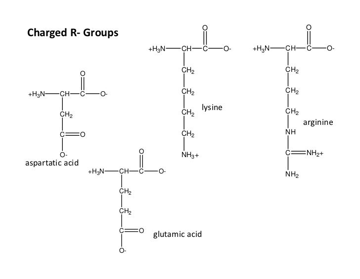 Amino acids