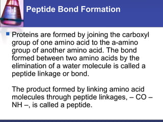 Peptide Bond Formation
 Proteins are formed by joining the carboxyl
group of one amino acid to the a-amino
group of another amino acid. The bond
formed between two amino acids by the
elimination of a water molecule is called a
peptide linkage or bond.
The product formed by linking amino acid
molecules through peptide linkages, – CO –
NH –, is called a peptide.
 