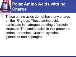 Polar Amino Acids with no
Charge
These amino acids do not have any charge
on the 'R' group. These amino acids
participate in hydrogen bonding of protein
structure. The amino acids in this group are
serine, threonine, tyrosine, cysteine,
glutamine and aspargine.
 