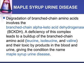 MAPLE SYRUP URINE DISEASE
 Degradation of branched-chain amino acids
involves the
branched-chain alpha-keto acid dehydrogenase
(BCKDH). A deficiency of this complex
leads to a buildup of the branched-chain
amino acid (leucine, isoleucine, and valine)
and their toxic by products in the blood and
urine, giving the condition the name
maple syrup urine disease.
 