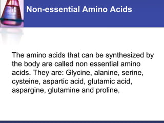 Non-essential Amino Acids
The amino acids that can be synthesized by
the body are called non essential amino
acids. They are: Glycine, alanine, serine,
cysteine, aspartic acid, glutamic acid,
aspargine, glutamine and proline.
 