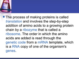  The process of making proteins is called
translation and involves the step-by-step
addition of amino acids to a growing protein
chain by a ribozyme that is called a
ribosome. The order in which the amino
acids are added is read through the
genetic code from a mRNA template, which
is a RNA copy of one of the organism's
genes.
 