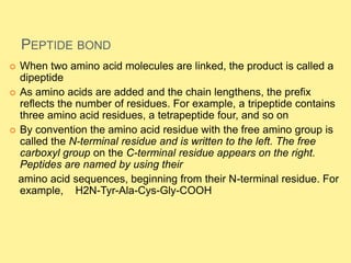 PEPTIDE BOND
 When two amino acid molecules are linked, the product is called a
dipeptide
 As amino acids are added and the chain lengthens, the prefix
reflects the number of residues. For example, a tripeptide contains
three amino acid residues, a tetrapeptide four, and so on
 By convention the amino acid residue with the free amino group is
called the N-terminal residue and is written to the left. The free
carboxyl group on the C-terminal residue appears on the right.
Peptides are named by using their
amino acid sequences, beginning from their N-terminal residue. For
example, H2N-Tyr-Ala-Cys-Gly-COOH
 