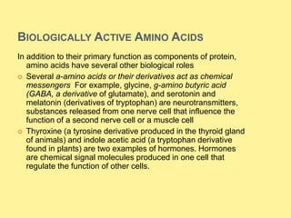 BIOLOGICALLY ACTIVE AMINO ACIDS
In addition to their primary function as components of protein,
amino acids have several other biological roles
 Several a-amino acids or their derivatives act as chemical
messengers For example, glycine, g-amino butyric acid
(GABA, a derivative of glutamate), and serotonin and
melatonin (derivatives of tryptophan) are neurotransmitters,
substances released from one nerve cell that influence the
function of a second nerve cell or a muscle cell
 Thyroxine (a tyrosine derivative produced in the thyroid gland
of animals) and indole acetic acid (a tryptophan derivative
found in plants) are two examples of hormones. Hormones
are chemical signal molecules produced in one cell that
regulate the function of other cells.
 