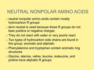NEUTRAL NONPOLAR AMINO ACIDS
 neutral nonpolar amino acids contain mostly
hydrocarbon R groups
 term neutral is used because these R groups do not
bear positive or negative charges
 They do not react with water or very poorly react
 Two types of hydrocarbon side chains are found in
this group: aromatic and aliphatic
 Phenylalanine and tryptophan contain aromatic ring
structures
 Glycine, alanine, valine, leucine, isoleucine, and
proline have aliphatic R groups
 