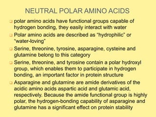 NEUTRAL POLAR AMINO ACIDS
 polar amino acids have functional groups capable of
hydrogen bonding, they easily interact with water
 Polar amino acids are described as “hydrophilic” or
“water-loving”
 Serine, threonine, tyrosine, asparagine, cysteine and
glutamine belong to this category
 Serine, threonine, and tyrosine contain a polar hydroxyl
group, which enables them to participate in hydrogen
bonding, an important factor in protein structure
 Asparagine and glutamine are amide derivatives of the
acidic amino acids aspartic acid and glutamic acid,
respectively. Because the amide functional group is highly
polar, the hydrogen-bonding capability of asparagine and
glutamine has a significant effect on protein stability
 