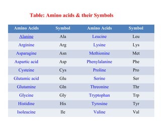 Amino Acids Symbol Amino Acids Symbol
Alanine Ala Leucine Leu
Arginine Arg Lysine Lys
Asparagine Asn Methionine Met
Aspartic acid Asp Phenylalanine Phe
Cysteine Cys Proline Pro
Glutamic acid Glu Serine Ser
Glutamine Gln Threonine Thr
Glycine Gly Tryptophan Trp
Histidine His Tyrosine Tyr
Isoleucine Ile Valine Val
Table: Amino acids & their Symbols
 