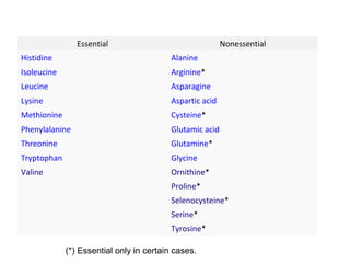 Essential Nonessential
Histidine Alanine
Isoleucine Arginine*
Leucine Asparagine
Lysine Aspartic acid
Methionine Cysteine*
Phenylalanine Glutamic acid
Threonine Glutamine*
Tryptophan Glycine
Valine Ornithine*
Proline*
Selenocysteine*
Serine*
Tyrosine*
(*) Essential only in certain cases.
 