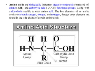 • Amino acids are biologically important organic compounds composed  of 
amine (-NH2)  and carboxylic acid (-COOH) functional groups,  along  with 
a side-chain specific  to  each  amino acid.  The  key  elements  of  an  amino 
acid are carbon,hydrogen, oxygen, and nitrogen, though other elements are 
found in the side-chains of certain amino acids.
 