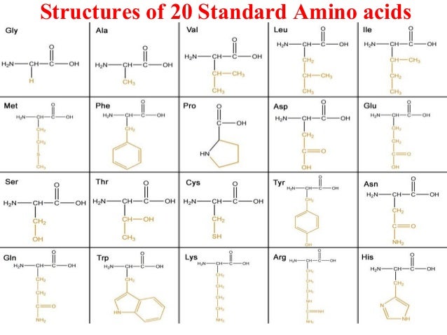 Amino Acids Chart Polar Nonpolar