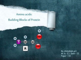 Amino acids:
BuildingBlocks of Protein
By Abhishek giri
M.Sc –I / Sem – II
Paper – II
 