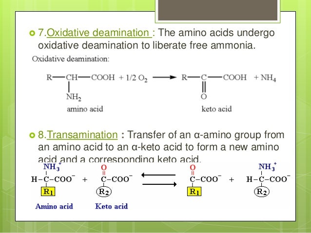 Amino Acids Are The Building Blocks Of Quizlet Amino Acids Are The Building Blocks Of Quizlet