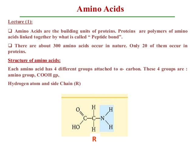 amino acids 3 638 jpg cb 1485856185 how are amino acids connected to form a chain
