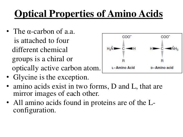 How many amino acids exist?