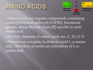 Amino acids are organic compounds containing
amine (NH2)and carboxyl(-COOH) functional
groups ,along the side chain [R] specific to each
amino acid .
The key elements of amino acids are .C, H, O, N
Proteins on complete hydrolysis yield L-α-amino
acid . Therefore proteins are polymeres of L-α-
amino acid.
 