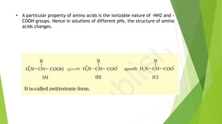 Amino acids (basics) | PPTX