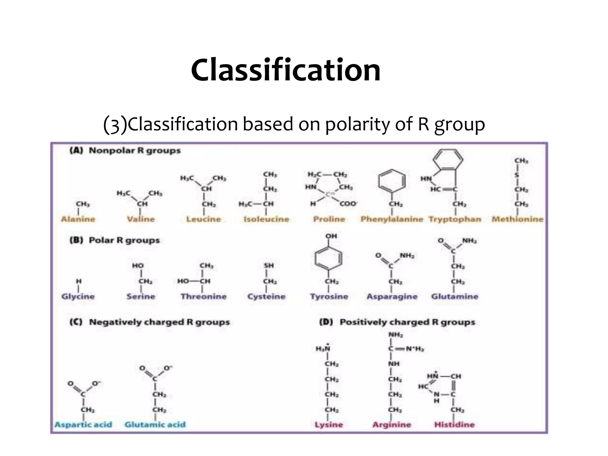 Classification
(3)Classification based on polarity of R group
 