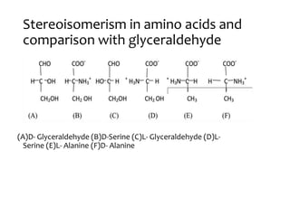 Stereoisomerism in amino acids and
comparison with glyceraldehyde
(A)D- Glyceraldehyde (B)D-Serine (C)L- Glyceraldehyde (D)L-
Serine (E)L- Alanine (F)D- Alanine
 