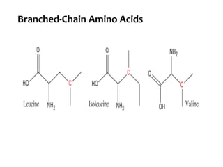 Branched-Chain Amino Acids
 
