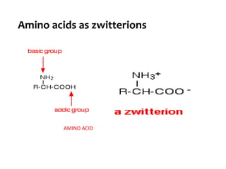 Amino acids as zwitterions
AMINO ACID
 