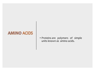 • Proteins are polymers of simple
units known as amino acids.
 