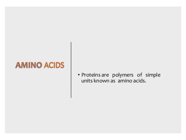 Amino Acids Ppt Sumati S Biochemistry