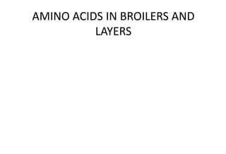 AMINO ACIDS IN BROILERS AND
LAYERS
 