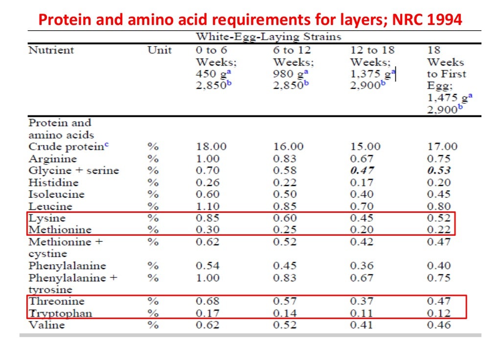 AMINO ACIDS IN BROILERS AND LAYERS