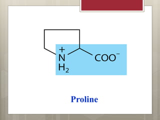 Proline
 