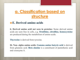 a. Classification based on
structure
E. Derived amino acids
ii. Derived amino acid not seen in proteins: Some derived amino
acids are seen free in cells, e.g. Ornithine, citrulline, homocysteine
are produced during the metabolism of amino acids.
Thyroxine is derived from tyrosine.
Iii. Non- alpha amino acids: Gamma amino butyric acid is derived
from glutamic acid. Beta alanine is a constituent of pantothenic acid
and coenzyme A.
 