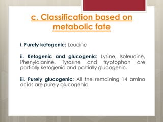c. Classification based on
metabolic fate
i. Purely ketogenic: Leucine
ii. Ketogenic and glucogenic: Lysine, Isoleucine,
Phenylalanine, Tyrosine and tryptophan are
partially ketogenic and partially glucogenic.
iii. Purely glucogenic: All the remaining 14 amino
acids are purely glucogenic.
 