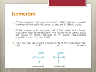 Isomerism
 Of the standard alpha- amino acids, all but glycine can exist
in either of two optical isomers, called Lor D amino acids.
 While L-amino acids represent all of the amino acids found
in proteins during translation in the ribosome, D-amino acids
are found in some proteins as in exotic sea-dwelling
organisms such as cone snails.
 They are also abundant components of the peptidoglycan
cell walls of bacteria.
 