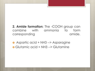 2. Amide formation: The -COOH group can
combine with ammonia to form
corresponding amide.
 Aspartic acid + NH3 --> Asparagine
 Glutamic acid + NH3 --> Glutamine
 