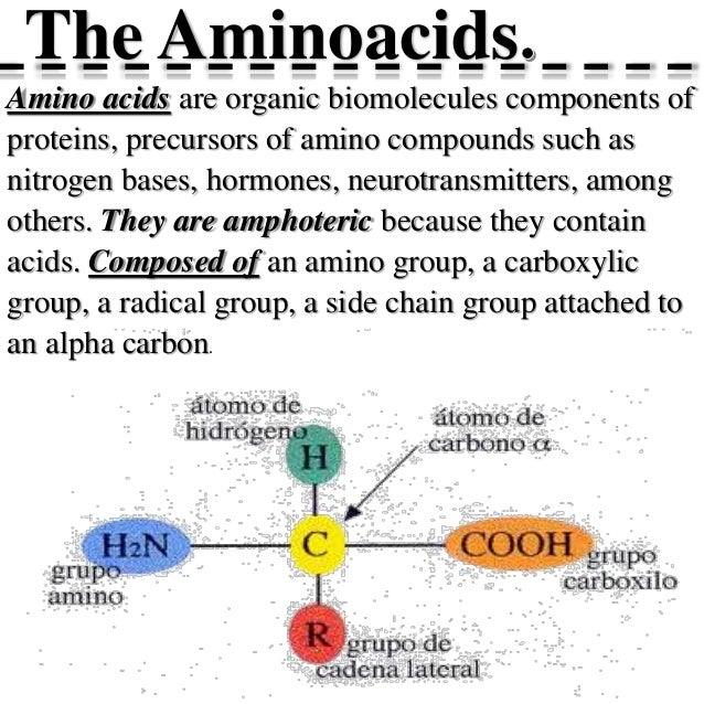 Amino acids. Definition, classification and Functions.