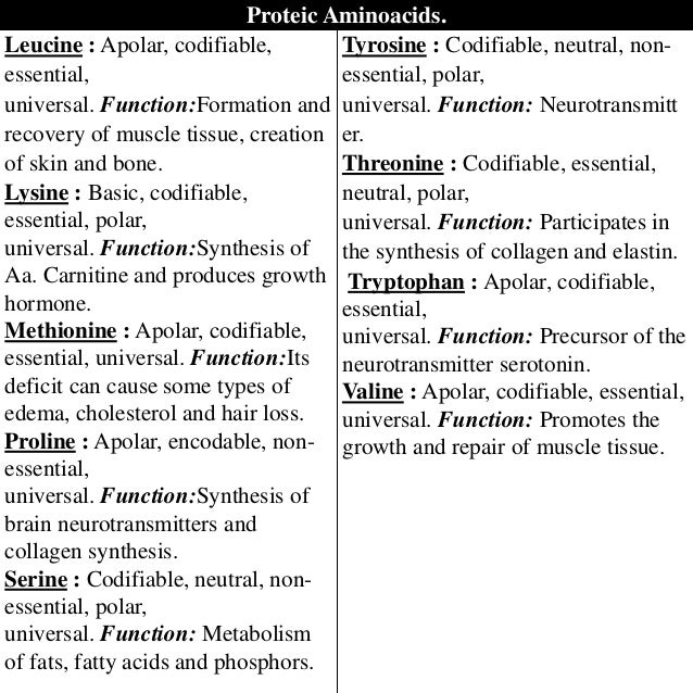 Amino acids. Definition, classification and Functions.