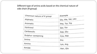 Amino acids | PPTX