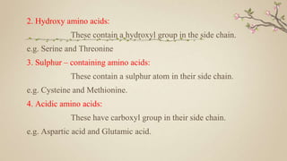 2. Hydroxy amino acids:
These contain a hydroxyl group in the side chain.
e.g. Serine and Threonine
3. Sulphur – containing amino acids:
These contain a sulphur atom in their side chain.
e.g. Cysteine and Methionine.
4. Acidic amino acids:
These have carboxyl group in their side chain.
e.g. Aspartic acid and Glutamic acid.
 