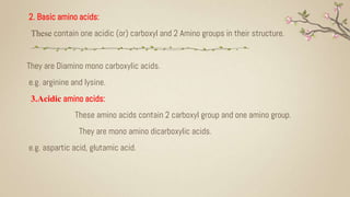 2. Basic amino acids:
These contain one acidic (or) carboxyl and 2 Amino groups in their structure.
They are Diamino mono carboxylic acids.
e.g. arginine and lysine.
3.Acidic amino acids:
These amino acids contain 2 carboxyl group and one amino group.
They are mono amino dicarboxylic acids.
e.g. aspartic acid, glutamic acid.
 