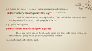 e.g. Serine, threonine, tyrosine, cysteine, asparagine and glutamine.
(ii) Polar amino acids with positive R group:
These are diamino mono carboxylic acids. Their side chains contain an extra
amino group which imparts basic property to them.
e. g. lysine and arginine
(iii) Polar amino acids with negative R group:
These are mono amino dicarboxylic acids and their side chain contain an
extra carboxyl group which gives acidic property to them.
e.g. aspartic acid and glutamic acid.
 