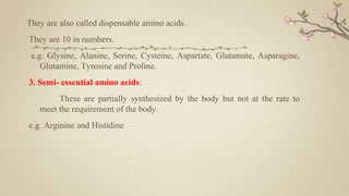 They are also called dispensable amino acids.
They are 10 in numbers.
e.g. Glysine, Alanine, Serine, Cysteine, Aspartate, Glutamate, Asparagine,
Glutamine, Tyrosine and Proline.
3. Semi- essential amino acids:
These are partially synthesized by the body but not at the rate to
meet the requirement of the body.
e.g. Arginine and Histidine
 