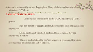 6.Aromatic amino acids such as Tryptophan, Phenylalalnine and tyrosine absorb
ultraviolet (UV) light.
7.AMPHOTERIC NATURE:
Amino acids contain both acidic (-COOH) and basic (-NH₂)
groups.
They can donate or accept a proton, hence amino acids are regarded as
ampholytes.
Amino acids react with both acids and bases. Hence, they are
amphoteric in nature.
Thus, in acid solution the coo⁻ion acquires a proton and the amino
acid becomes an ammonium salt of the acid.
 