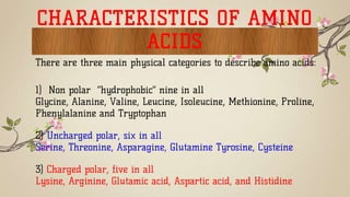 CHARACTERISTICS OF AMINO
ACIDS
There are three main physical categories to describe amino acids:
1) Non polar “hydrophobic” nine in all
Glycine, Alanine, Valine, Leucine, Isoleucine, Methionine, Proline,
Phenylalanine and Tryptophan
2) Uncharged polar, six in all
Serine, Threonine, Asparagine, Glutamine Tyrosine, Cysteine
3) Charged polar, five in all
Lysine, Arginine, Glutamic acid, Aspartic acid, and Histidine
 