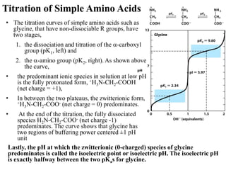 Titration of Simple Amino Acids
• The titration curves of simple amino acids such as
glycine, that have non-dissociable R groups, have
two stages,
1. the dissociation and titration of the -carboxyl
group (pK1, left) and
2. the -amino group (pK2, right). As shown above
the curve,
• the predominant ionic species in solution at low pH
is the fully protonated form, +H3N-CH2-COOH
(net charge = +1),
• In between the two plateaus, the zwitterionic form,
+H3N-CH2-COO- (net charge = 0) predominates.
• At the end of the titration, the fully dissociated
species H2N-CH2-COO- (net charge -1)
predominates. The curve shows that glycine has
two regions of buffering power centered ±1 pH
unit
Lastly, the pH at which the zwitterionic (0-charged) species of glycine
predominates is called the isoelectric point or isoelectric pH. The isoelectric pH
is exactly halfway between the two pKas for glycine.
 