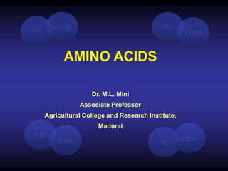 NH2
COOH NH2
COOH
NH2
COOH NH2
COOH
AMINO ACIDS
Dr. M.L. Mini
Associate Professor
Agricultural College and Research Institute,
Madurai
 