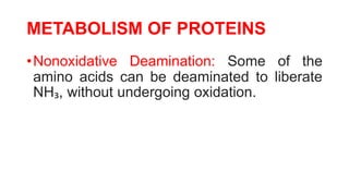METABOLISM OF PROTEINS
•Nonoxidative Deamination: Some of the
amino acids can be deaminated to liberate
NH₃, without undergoing oxidation.
 